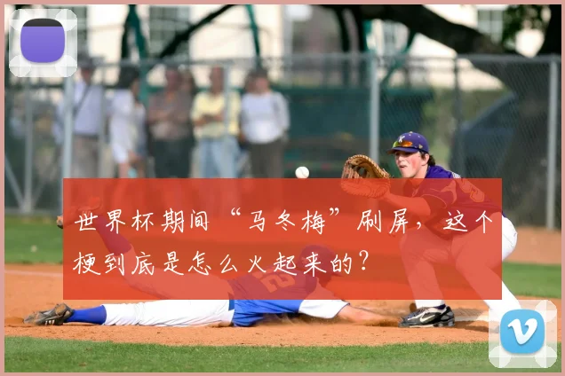世界杯期间“马冬梅”刷屏，这个梗到底是怎么火起来的？