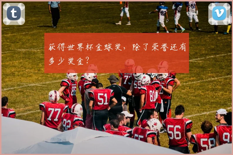 获得世界杯金球奖，除了荣誉还有多少奖金？