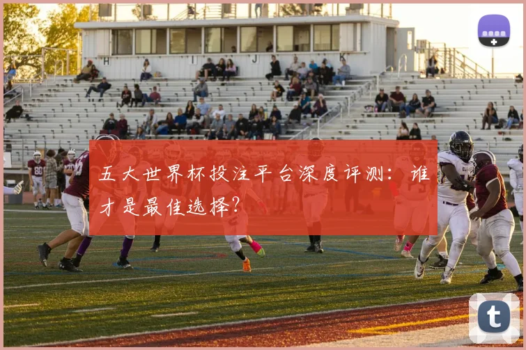 五大世界杯投注平台深度评测：谁才是最佳选择？