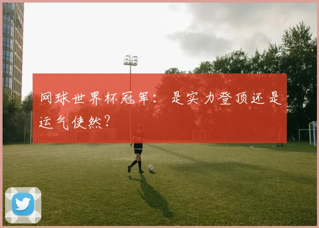 网球世界杯冠军：是实力登顶还是运气使然？