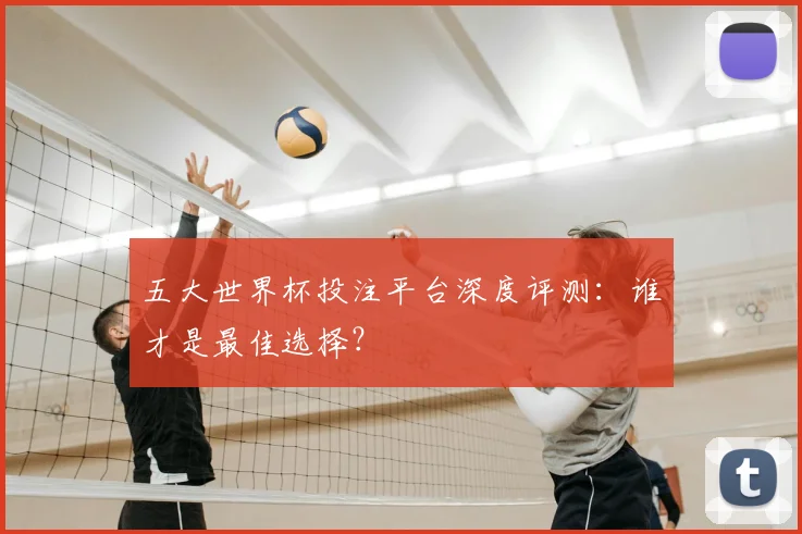 五大世界杯投注平台深度评测：谁才是最佳选择？