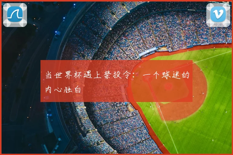 当世界杯遇上禁投令：一个球迷的内心独白
