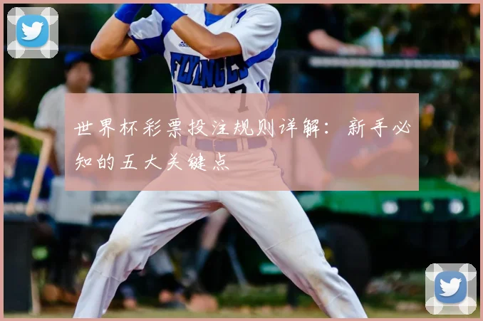 世界杯彩票投注规则详解：新手必知的五大关键点