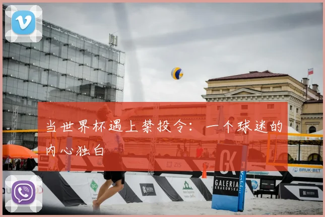 当世界杯遇上禁投令:一个球迷的内心独白