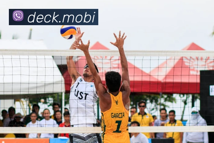 beat365唯一官网发展历程